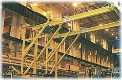 Trackless Gantry Crane